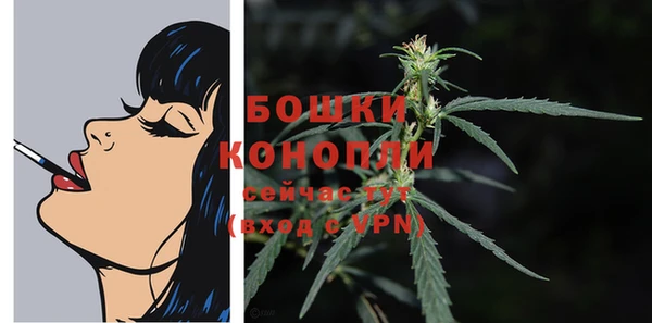 spice Балабаново